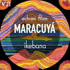 Echoes from Maracuyá - Ikebana