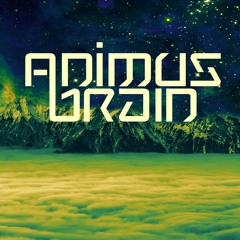 Animus Brain - Colorful Hallucination (Original Mix)