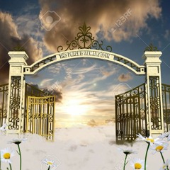 Heaven Gates