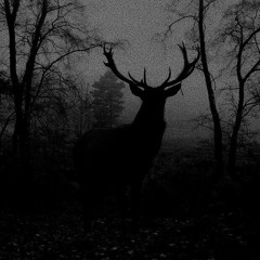 Dark