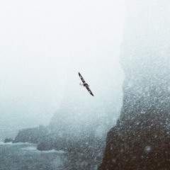 contraband (produced by mont metri & rjbellaterra)