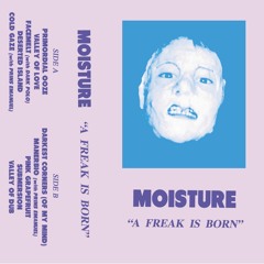 A2. MOISTURE - VALLEY OF LOVE