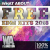 Tải video: NEW Webstore Launched! | Free EDM Kits 2018 (12 Kits + FL Studio Templates)