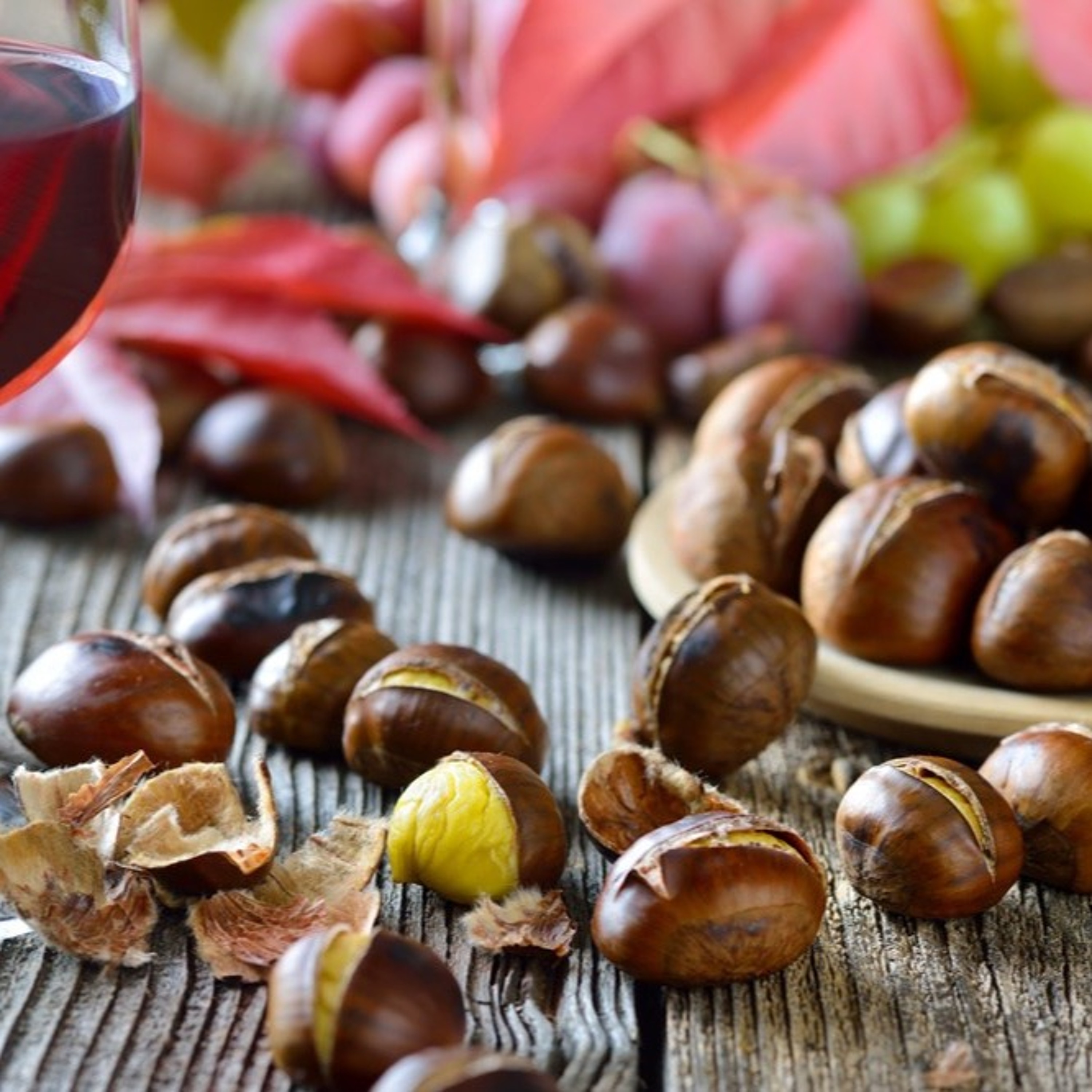 Episode 13- Nuts And Wine, Packing Bottles, Alcohol Levels, Balance And Structure