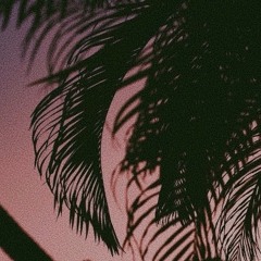 Summer 2023 Vibe Collection