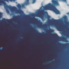 I Love pentatonic scales :')