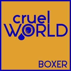 Boxer