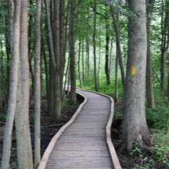 See You Later - AP.OllO (BEAT PROD.BY TEN4)