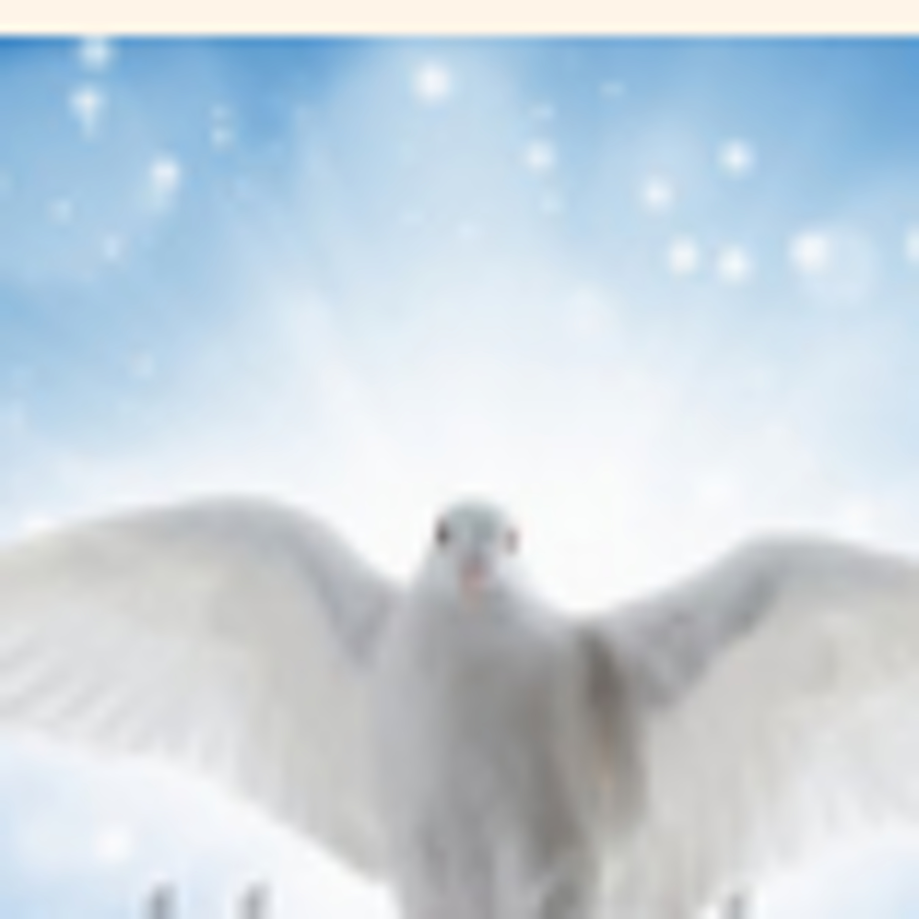 The Workings Of The Holy Spirit Part 1.MP3 episode artwork