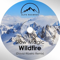 Slow Magic - Wildfire (David Ribeiro Remix)[DOWNLOAD FREE]
