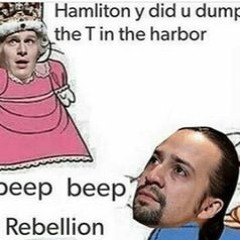hamilton on a $20 budget