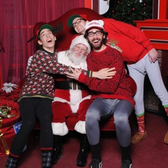 Lookin Under The Tree