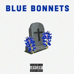 Blue Bonnets