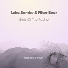 Luka Sambe & Filter Bear - Birds of the Ravine (Filter Bear Remix)