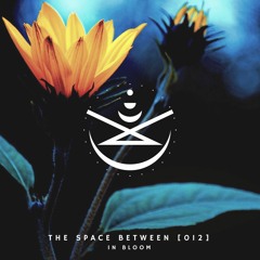 The Space Between [012] - In Bloom