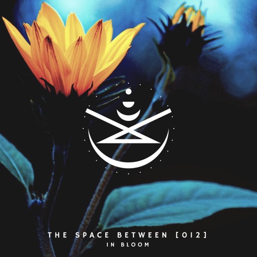 The Space Between [012] - In Bloom
