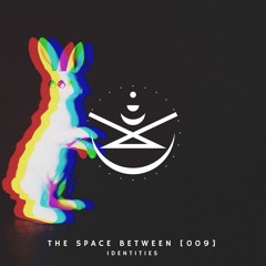 The Space Between [009] - Identities
