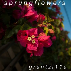 s p r u n g f l o w e r s