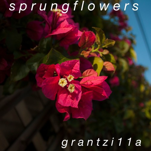 s p r u n g f l o w e r s