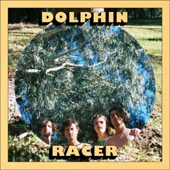 Dolphin Racer
