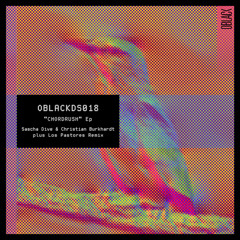 PREMIERE: Sascha Dive & Christian Burkhardt - Craigser [OBLACKDS018]