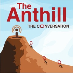 The Good Friday Agreement: Anthill Podcast