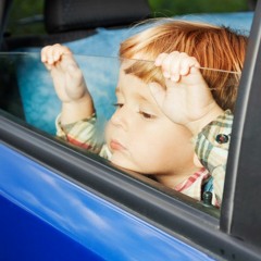 I Thought I Told You To Wait In The Car