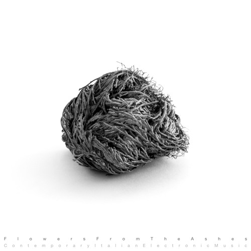 C1 - Lucy - Starving The Mind [SALP006/SACD009]