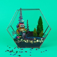 Better Looking [edit]