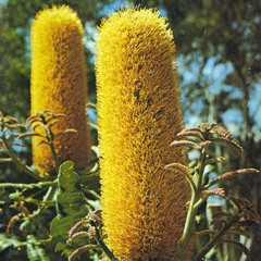 Clubsport #8 (LYL Radio 06.04.18)