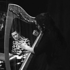 Rêveries - harp & keyboards duet