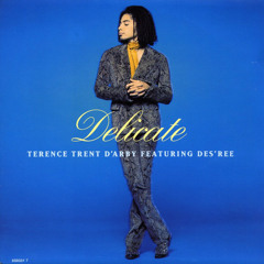 Terence Trent DArby - Delicate ft. Desree