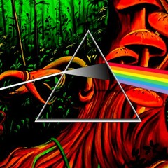 the dark side of the jungle (dj mix)