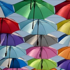 Do lixo à moda: conheça a startup Revoada