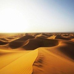 James Kilohertz - Lonely Desert Speaker