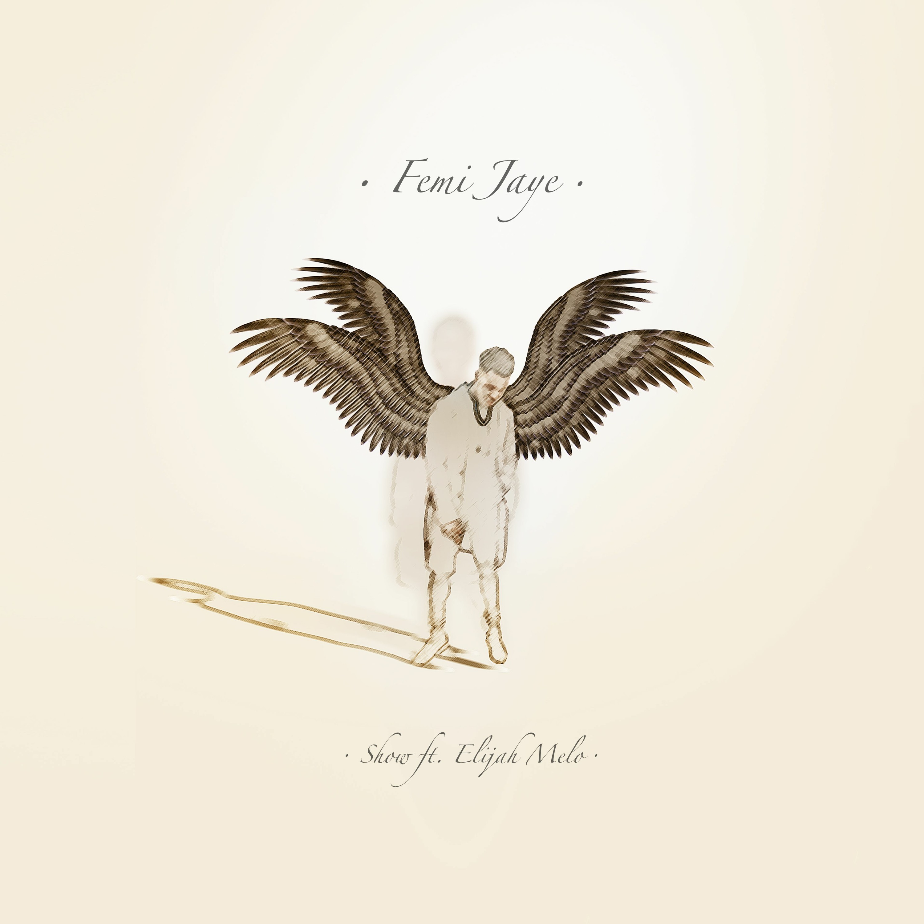 Femi Jaye Music
