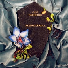 Premiere : Régina Demina - Tandem [Kwaidan Records]
