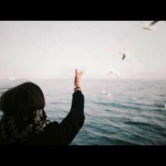 Shami-По-другому нам нельзя (CSD)