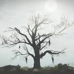 Hanging Tree (Original Mix)