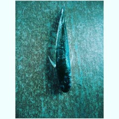 আমি অবাক হয়ে শুনি, কেবল শুনি