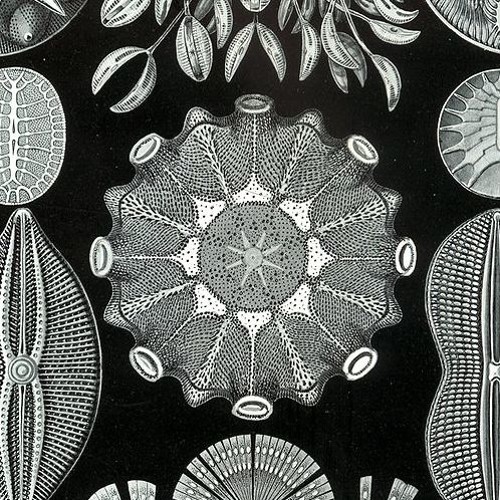 flying lotus - zodiac shit (obvus_extended)