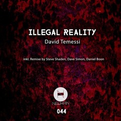 David Temessi - Illegal Reality (Steve Shaden Remix) [NEUHAIN] *VINYL