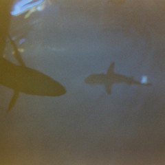 LYL Radio - Liquidation Totale 20 12 16 W Nami