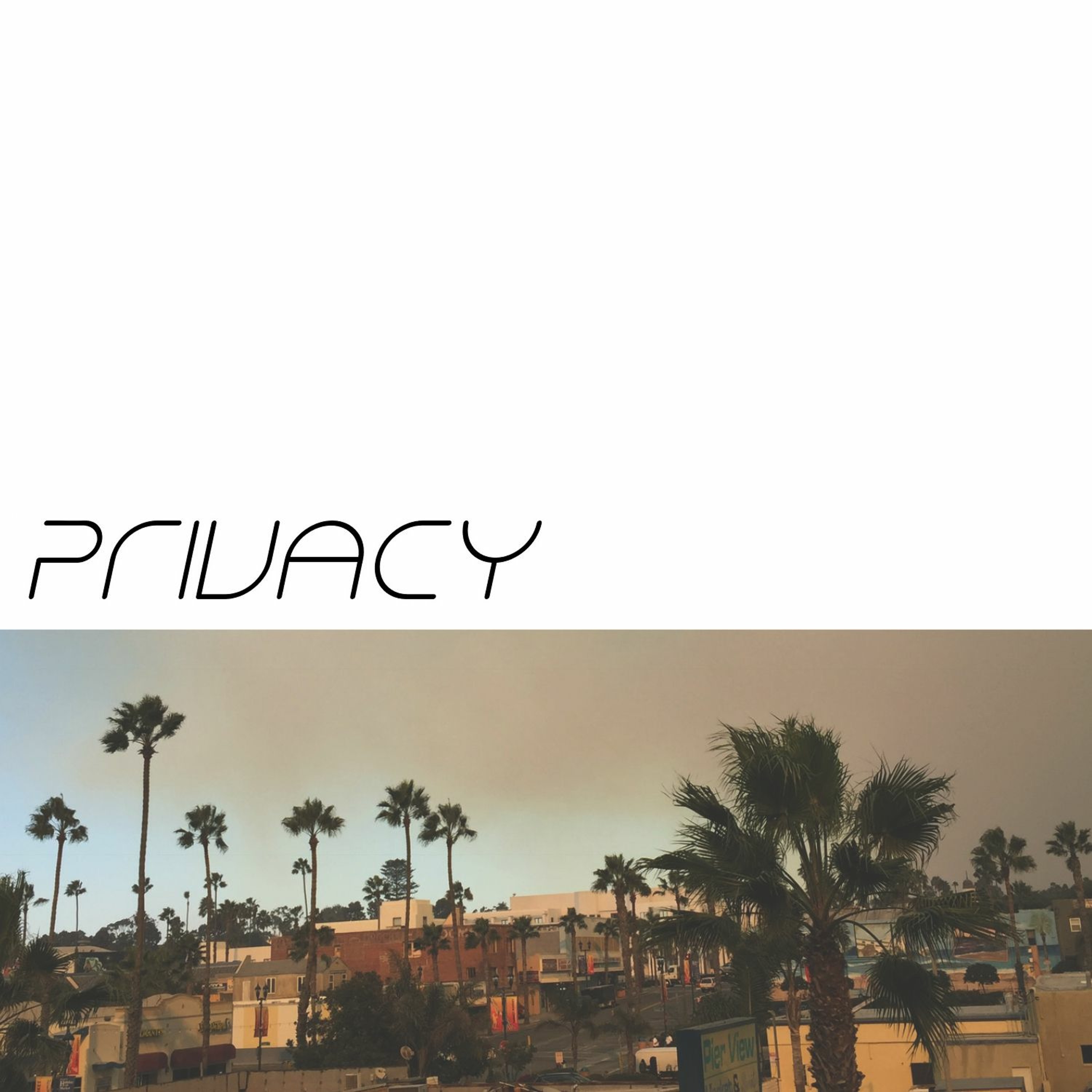 Privacy episode artwork
