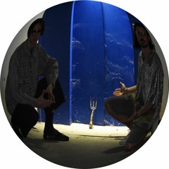 apulati loto - practo duel