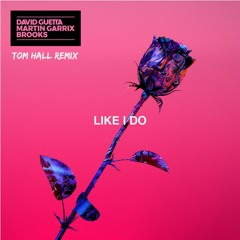 David Guetta, Martin Garrix & Brooks - Like I Do (Tom Hall Remix)