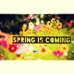 Junior - Spring Is Coming