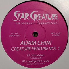 Adam Chini -  Looking For a Lover (Liquid Pegasus Remix)