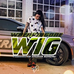 When I'm Gone - Trii