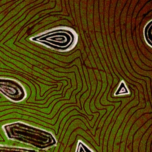 untitled DuB 2raw Wip